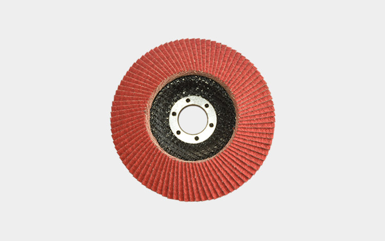 VSM Ceramic flap disc